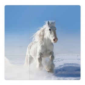 Магнитный плакат 3Х3 с принтом Белый скакун в Екатеринбурге, Полимерный материал с магнитным слоем | 9 деталей размером 9*9 см | animal | beautiful | gloss | horse | mane | mustang | muzzle | nature | snow | white | wild | winter | белый | грива | дикий | животное | зима | конь | красивый | лоск | лошадь | мустанг | природа | скакун | снег
