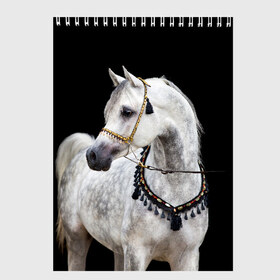 Скетчбук с принтом Серый в яблоках конь в Екатеринбурге, 100% бумага
 | 48 листов, плотность листов — 100 г/м2, плотность картонной обложки — 250 г/м2. Листы скреплены сверху удобной пружинной спиралью | animal | beautiful | black | eyes | gloss | gray | harness | horse | in apples | look | muzzle | spotted | white | белый | в яблоках | взгляд | глаза | животное | конь | красивый | лоск | лошадь | пятнистый | сбруя | серый | скакун | черный