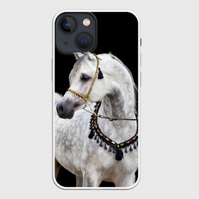 Чехол для iPhone 13 mini с принтом Серый в яблоках конь в Екатеринбурге,  |  | animal | beautiful | black | eyes | gloss | gray | harness | horse | in apples | look | muzzle | spotted | white | белый | в яблоках | взгляд | глаза | животное | конь | красивый | лоск | лошадь | пятнистый | сбруя | серый | скакун | черный
