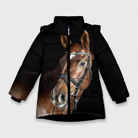 Зимняя куртка для девочек 3D с принтом Гнедая лошадь в Екатеринбурге, ткань верха — 100% полиэстер; подклад — 100% полиэстер, утеплитель — 100% полиэстер. | длина ниже бедра, удлиненная спинка, воротник стойка и отстегивающийся капюшон. Есть боковые карманы с листочкой на кнопках, утяжки по низу изделия и внутренний карман на молнии. 

Предусмотрены светоотражающий принт на спинке, радужный светоотражающий элемент на пуллере молнии и на резинке для утяжки. | Тематика изображения на принте: animal | beautiful | black | brown | eyes | gloss | horse | look | muscles | muzzle | portrait | взгляд | глаза | гнедая | животное | конь | коричневый | красивый | лоск | лошадь | мускулы | портрет | скакун | черный