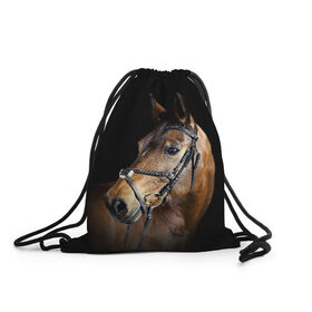 Рюкзак-мешок 3D с принтом Гнедая лошадь в Екатеринбурге, 100% полиэстер | плотность ткани — 200 г/м2, размер — 35 х 45 см; лямки — толстые шнурки, застежка на шнуровке, без карманов и подкладки | Тематика изображения на принте: animal | beautiful | black | brown | eyes | gloss | harness | horse | look | muzzle | взгляд | глаза | гнедая | гнедой | животное | конь | коричневый | красивый | лоск | лошадь | сбруя | скакун | черный