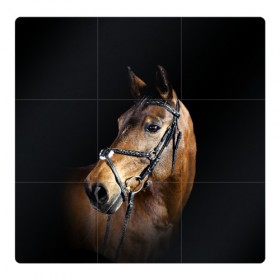 Магнитный плакат 3Х3 с принтом Гнедая лошадь в Екатеринбурге, Полимерный материал с магнитным слоем | 9 деталей размером 9*9 см | Тематика изображения на принте: animal | beautiful | black | brown | eyes | gloss | harness | horse | look | muzzle | взгляд | глаза | гнедая | гнедой | животное | конь | коричневый | красивый | лоск | лошадь | сбруя | скакун | черный