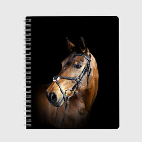 Тетрадь с принтом Гнедая лошадь в Екатеринбурге, 100% бумага | 48 листов, плотность листов — 60 г/м2, плотность картонной обложки — 250 г/м2. Листы скреплены сбоку удобной пружинной спиралью. Уголки страниц и обложки скругленные. Цвет линий — светло-серый
 | Тематика изображения на принте: animal | beautiful | black | brown | eyes | gloss | harness | horse | look | muzzle | взгляд | глаза | гнедая | гнедой | животное | конь | коричневый | красивый | лоск | лошадь | сбруя | скакун | черный