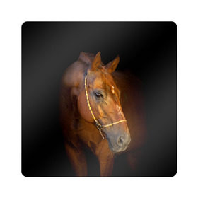 Магнит виниловый Квадрат с принтом Гнедая лошадь в Екатеринбурге, полимерный материал с магнитным слоем | размер 9*9 см, закругленные углы | Тематика изображения на принте: animal | beautiful | black | brown | eyes | gloss | harness | horse | look | muzzle | взгляд | глаза | гнедой | животное | конь | коричневый | красивый | лоск | лошадь | сбруя | скакун | черный