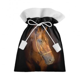 Подарочный 3D мешок с принтом Гнедая лошадь в Екатеринбурге, 100% полиэстер | Размер: 29*39 см | Тематика изображения на принте: animal | beautiful | black | brown | eyes | gloss | harness | horse | look | muzzle | взгляд | глаза | гнедой | животное | конь | коричневый | красивый | лоск | лошадь | сбруя | скакун | черный