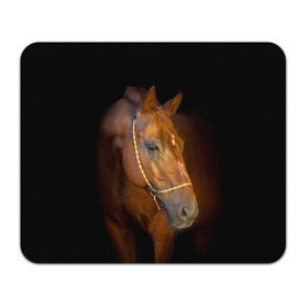 Коврик для мышки прямоугольный с принтом Гнедая лошадь в Екатеринбурге, натуральный каучук | размер 230 х 185 мм; запечатка лицевой стороны | Тематика изображения на принте: animal | beautiful | black | brown | eyes | gloss | harness | horse | look | muzzle | взгляд | глаза | гнедой | животное | конь | коричневый | красивый | лоск | лошадь | сбруя | скакун | черный