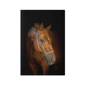 Обложка для паспорта матовая кожа с принтом Гнедая лошадь в Екатеринбурге, натуральная матовая кожа | размер 19,3 х 13,7 см; прозрачные пластиковые крепления | Тематика изображения на принте: animal | beautiful | black | brown | eyes | gloss | harness | horse | look | muzzle | взгляд | глаза | гнедой | животное | конь | коричневый | красивый | лоск | лошадь | сбруя | скакун | черный