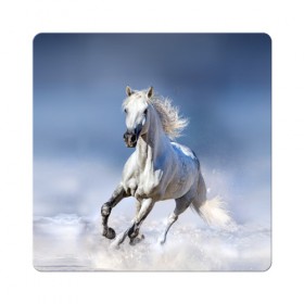 Магнит виниловый Квадрат с принтом Белая лошадь в Екатеринбурге, полимерный материал с магнитным слоем | размер 9*9 см, закругленные углы | Тематика изображения на принте: animal | beautiful | gloss | horse | mane | mustang | muzzle | nature | snow | white | wild | winter | белый | грива | дикий | животное | зима | конь | красивый | лоск | лошадь | мустанг | природа | скакун | снег