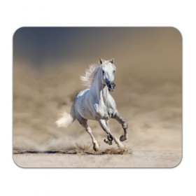 Коврик для мышки прямоугольный с принтом Белый конь в Екатеринбурге, натуральный каучук | размер 230 х 185 мм; запечатка лицевой стороны | animal | beautiful | desert | gloss | horse | mane | mustang | muzzle | nature | sand | white | wild | белый | грива | дикий | животное | конь | красивый | лоск | лошадь | мустанг | песок | природа | пустыня | скакун