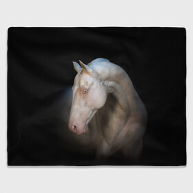 Плед 3D с принтом Белая лошадь в Екатеринбурге, 100% полиэстер | закругленные углы, все края обработаны. Ткань не мнется и не растягивается | animal | black | breed | horse | muscle | muzzle | strength | unusual | white | белый | животное | конь | лошадь | мышцы | необычный | порода | сила | скакун