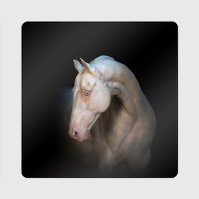 Магнит виниловый Квадрат с принтом Белая лошадь в Екатеринбурге, полимерный материал с магнитным слоем | размер 9*9 см, закругленные углы | animal | black | breed | horse | muscle | muzzle | strength | unusual | white | белый | животное | конь | лошадь | мышцы | необычный | порода | сила | скакун