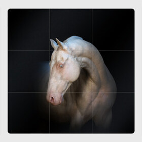 Магнитный плакат 3Х3 с принтом Белая лошадь в Екатеринбурге, Полимерный материал с магнитным слоем | 9 деталей размером 9*9 см | animal | black | breed | horse | muscle | muzzle | strength | unusual | white | белый | животное | конь | лошадь | мышцы | необычный | порода | сила | скакун