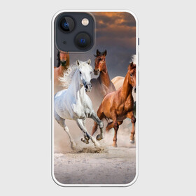 Чехол для iPhone 13 mini с принтом Табун в Екатеринбурге,  |  | animal | beautiful | black | brown | desert | gloss | herd | horse | mane | mustang | muzzle | nature | sand | white | wild | белый | грива | дикий | животное | конь | коричневый | красивый | лоск | лошадь | мустанг | песок | природа | пусты