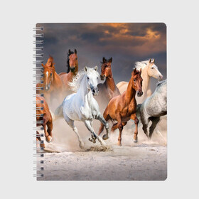 Тетрадь с принтом Табун в Екатеринбурге, 100% бумага | 48 листов, плотность листов — 60 г/м2, плотность картонной обложки — 250 г/м2. Листы скреплены сбоку удобной пружинной спиралью. Уголки страниц и обложки скругленные. Цвет линий — светло-серый
 | Тематика изображения на принте: animal | beautiful | black | brown | desert | gloss | herd | horse | mane | mustang | muzzle | nature | sand | white | wild | белый | грива | дикий | животное | конь | коричневый | красивый | лоск | лошадь | мустанг | песок | природа | пусты
