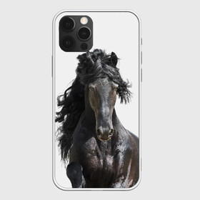 Чехол для iPhone 12 Pro с принтом Лошадь в Екатеринбурге, силикон | область печати: задняя сторона чехла, без боковых панелей | animal | beautiful | black | horse | mane | mustang | muzzle | wild | грива | дикий | животное | конь | красивый | лошадь | мустанг | скакун | черный