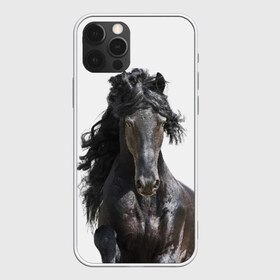 Чехол для iPhone 12 Pro Max с принтом Лошадь в Екатеринбурге, Силикон |  | animal | beautiful | black | horse | mane | mustang | muzzle | wild | грива | дикий | животное | конь | красивый | лошадь | мустанг | скакун | черный