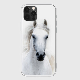 Чехол для iPhone 12 Pro с принтом Белая лошадь в Екатеринбурге, силикон | область печати: задняя сторона чехла, без боковых панелей | animal | beautiful | gloss | horse | mane | mustang | muzzle | white | wild | белый | грива | дикий | животное | конь | красивый | лоск | лошадь | мустанг | скакун