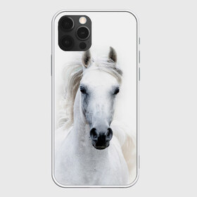 Чехол для iPhone 12 Pro Max с принтом Белая лошадь в Екатеринбурге, Силикон |  | Тематика изображения на принте: animal | beautiful | gloss | horse | mane | mustang | muzzle | white | wild | белый | грива | дикий | животное | конь | красивый | лоск | лошадь | мустанг | скакун