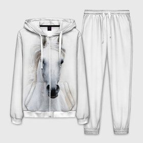 Мужской костюм 3D с принтом Белая лошадь в Екатеринбурге, 100% полиэстер | Манжеты и пояс оформлены тканевой резинкой, двухслойный капюшон со шнурком для регулировки, карманы спереди | animal | beautiful | gloss | horse | mane | mustang | muzzle | white | wild | белый | грива | дикий | животное | конь | красивый | лоск | лошадь | мустанг | скакун