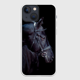 Чехол для iPhone 13 mini с принтом Конь вороной в Екатеринбурге,  |  | animal | beautiful | black | eyes | gloss | hairstyle | harness | horse | look | muzzle | взгляд | вороной | глаза | животное | конь | красивый | лоск | лошадь | прическа | сбруя | скакун | черный