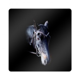 Магнит виниловый Квадрат с принтом Конь вороной в Екатеринбурге, полимерный материал с магнитным слоем | размер 9*9 см, закругленные углы | Тематика изображения на принте: animal | beautiful | black | eyes | gloss | hairstyle | harness | horse | look | muzzle | взгляд | вороной | глаза | животное | конь | красивый | лоск | лошадь | прическа | сбруя | скакун | черный