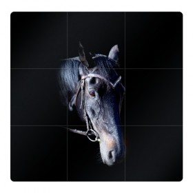 Магнитный плакат 3Х3 с принтом Конь вороной в Екатеринбурге, Полимерный материал с магнитным слоем | 9 деталей размером 9*9 см | Тематика изображения на принте: animal | beautiful | black | eyes | gloss | hairstyle | harness | horse | look | muzzle | взгляд | вороной | глаза | животное | конь | красивый | лоск | лошадь | прическа | сбруя | скакун | черный