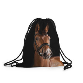 Рюкзак-мешок 3D с принтом Гнедая лошадь в Екатеринбурге, 100% полиэстер | плотность ткани — 200 г/м2, размер — 35 х 45 см; лямки — толстые шнурки, застежка на шнуровке, без карманов и подкладки | Тематика изображения на принте: animal | beautiful | black | brown | eyes | gloss | harness | horse | look | muzzle | взгляд | глаза | гнедая | животное | конь | коричневый | красивый | лоск | лошадь | сбруя | скакун | черный