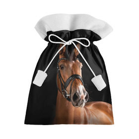 Подарочный 3D мешок с принтом Гнедая лошадь в Екатеринбурге, 100% полиэстер | Размер: 29*39 см | animal | beautiful | black | brown | eyes | gloss | harness | horse | look | muzzle | взгляд | глаза | гнедая | животное | конь | коричневый | красивый | лоск | лошадь | сбруя | скакун | черный