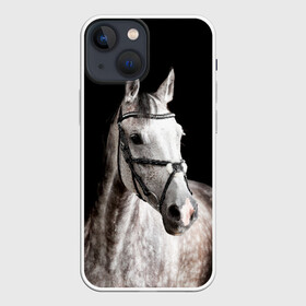 Чехол для iPhone 13 mini с принтом Серный в яблоках конь в Екатеринбурге,  |  | animal | beautiful | black | eyes | gloss | harness | horse | look | muzzle | spotted | white | белый | в яблоках | взгляд | глаза | животное | конь | красивый | лоск | лошадь | пятнистый | сбруя | серый | скакун | черный