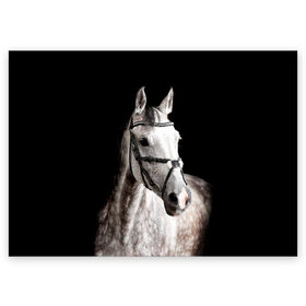 Поздравительная открытка с принтом Серный в яблоках конь в Екатеринбурге, 100% бумага | плотность бумаги 280 г/м2, матовая, на обратной стороне линовка и место для марки
 | Тематика изображения на принте: animal | beautiful | black | eyes | gloss | harness | horse | look | muzzle | spotted | white | белый | в яблоках | взгляд | глаза | животное | конь | красивый | лоск | лошадь | пятнистый | сбруя | серый | скакун | черный