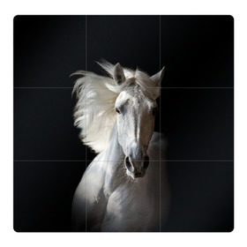 Магнитный плакат 3Х3 с принтом Белая лошадь в Екатеринбурге, Полимерный материал с магнитным слоем | 9 деталей размером 9*9 см | animal | beautiful | black | eyes | gloss | grace | harness | horse | look | mane | muzzle | strength | white | белая | взгляд | глаза | грация | грива | животное | конь | красивый | лоск | лошадь | сбруя | сила | скакун