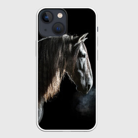 Чехол для iPhone 13 mini с принтом Серный в яблоках конь в Екатеринбурге,  |  | animal | beautiful | black | eyes | gloss | harness | horse | look | muzzle | portrait | в яблоках | взгляд | глаза | животное | конь | красивый | лоск | лошадь | портрет | сбруя | серый | скакун