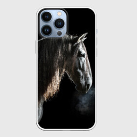 Чехол для iPhone 13 Pro Max с принтом Серный в яблоках конь в Екатеринбурге,  |  | animal | beautiful | black | eyes | gloss | harness | horse | look | muzzle | portrait | в яблоках | взгляд | глаза | животное | конь | красивый | лоск | лошадь | портрет | сбруя | серый | скакун