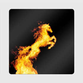 Магнит виниловый Квадрат с принтом Огненный конь в Екатеринбурге, полимерный материал с магнитным слоем | размер 9*9 см, закругленные углы | Тематика изображения на принте: animal | beautiful | black | fiery | fire | horse | mane | wild | грива | дикий | животное | конь | красивый | лошадь | огненный | огонь | скакун | черный