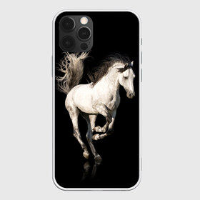 Чехол для iPhone 12 Pro Max с принтом Серный в яблоках конь в Екатеринбурге, Силикон |  | animal | beautiful | black | gloss | horse | mane | mustang | muzzle | white | wild | белый | в яблоках | грива | дикий | животное | конь | красивый | лоск | лошадь | мустанг | серый | скакун | черный