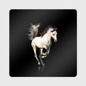 Магнит виниловый Квадрат с принтом Серный в яблоках конь в Екатеринбурге, полимерный материал с магнитным слоем | размер 9*9 см, закругленные углы | animal | beautiful | black | gloss | horse | mane | mustang | muzzle | white | wild | белый | в яблоках | грива | дикий | животное | конь | красивый | лоск | лошадь | мустанг | серый | скакун | черный