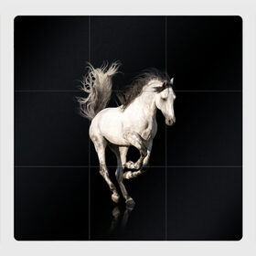Магнитный плакат 3Х3 с принтом Серный в яблоках конь в Екатеринбурге, Полимерный материал с магнитным слоем | 9 деталей размером 9*9 см | animal | beautiful | black | gloss | horse | mane | mustang | muzzle | white | wild | белый | в яблоках | грива | дикий | животное | конь | красивый | лоск | лошадь | мустанг | серый | скакун | черный