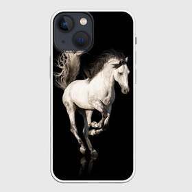 Чехол для iPhone 13 mini с принтом Серный в яблоках конь в Екатеринбурге,  |  | animal | beautiful | black | gloss | horse | mane | mustang | muzzle | white | wild | белый | в яблоках | грива | дикий | животное | конь | красивый | лоск | лошадь | мустанг | серый | скакун | черный