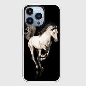 Чехол для iPhone 13 Pro с принтом Серный в яблоках конь в Екатеринбурге,  |  | animal | beautiful | black | gloss | horse | mane | mustang | muzzle | white | wild | белый | в яблоках | грива | дикий | животное | конь | красивый | лоск | лошадь | мустанг | серый | скакун | черный