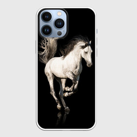 Чехол для iPhone 13 Pro Max с принтом Серный в яблоках конь в Екатеринбурге,  |  | animal | beautiful | black | gloss | horse | mane | mustang | muzzle | white | wild | белый | в яблоках | грива | дикий | животное | конь | красивый | лоск | лошадь | мустанг | серый | скакун | черный