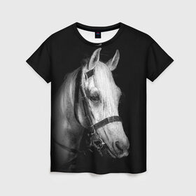 Женская футболка 3D с принтом Белая лошадь в Екатеринбурге, 100% полиэфир ( синтетическое хлопкоподобное полотно) | прямой крой, круглый вырез горловины, длина до линии бедер | animal | beautiful | black | eyes | gloss | harness | horse | look | muzzle | white | белый | взгляд | глаза | животное | конь | красивый | лоск | лошадь | сбруя | скакун