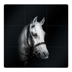 Магнитный плакат 3Х3 с принтом Белая лошадь в Екатеринбурге, Полимерный материал с магнитным слоем | 9 деталей размером 9*9 см | animal | beautiful | black | eyes | gloss | harness | horse | look | muzzle | white | белый | взгляд | глаза | животное | конь | красивый | лоск | лошадь | сбруя | скакун