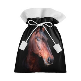 Подарочный 3D мешок с принтом Гнедая лошадь в Екатеринбурге, 100% полиэстер | Размер: 29*39 см | animal | beautiful | black | brown | chocolate | eyes | gloss | horse | look | muzzle | portrait | взгляд | глаза | животное | конь | коричневый | красивый | лоск | лошадь | портрет | скакун | черный | шоколадный