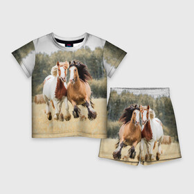 Детский костюм с шортами 3D с принтом Лошади в Екатеринбурге,  |  | Тематика изображения на принте: animal | free | horse | mane | nature | pair | polish | wild | грива | дикий | животное | конь | лоск | лошадь | пара | природа | свободный | скакун