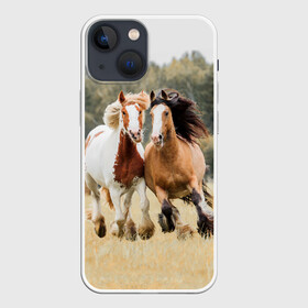 Чехол для iPhone 13 mini с принтом Лошади в Екатеринбурге,  |  | animal | free | horse | mane | nature | pair | polish | wild | грива | дикий | животное | конь | лоск | лошадь | пара | природа | свободный | скакун