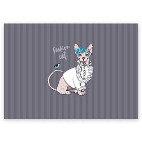Поздравительная открытка с принтом Fashion cat в Екатеринбурге, 100% бумага | плотность бумаги 280 г/м2, матовая, на обратной стороне линовка и место для марки
 | bird | bow | breed | cat | glamor | look | muzzle | sphinx | style | tail | бант | взгляд | гламур | кошка | порода | птица | стиль | сфинкс | хвост
