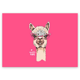Поздравительная открытка с принтом Romantic llama в Екатеринбурге, 100% бумага | плотность бумаги 280 г/м2, матовая, на обратной стороне линовка и место для марки
 | alpaca | animal | cool | flowers | head | heart | inscription | llama | look | pink | romance | альпака | взгляд | голова | животное | лама | любовь | надпись | очки | прикольный | розовые | романтика | сердце | цветы