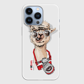 Чехол для iPhone 13 Pro с принтом NoDrama в Екатеринбурге,  |  | alpaca | animal | camera | cool | drama | hashtag | head | inscription | llama | look | nodrama | photographer | альпака | взгляд | голова | драма | животное | камера | лама | надпись | очки | прикольный | фотоаппарат | фотограф | хэштег