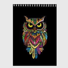 Скетчбук с принтом Сова в Екатеринбурге, 100% бумага
 | 48 листов, плотность листов — 100 г/м2, плотность картонной обложки — 250 г/м2. Листы скреплены сверху удобной пружинной спиралью | art | background | big | bird | black | drawing | eyes | multicolored | owl | sight | symbol | wisdom | большие | взгляд | глаза | искусство | мудрость | птица | разноцветный | рисунок | символ | сова | филин | фон | черный