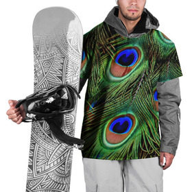 Накидка на куртку 3D с принтом Перья павлина #1 в Екатеринбурге, 100% полиэстер |  | animal | bird | peacock feathers | животные | павлин | перо. | перья | птица